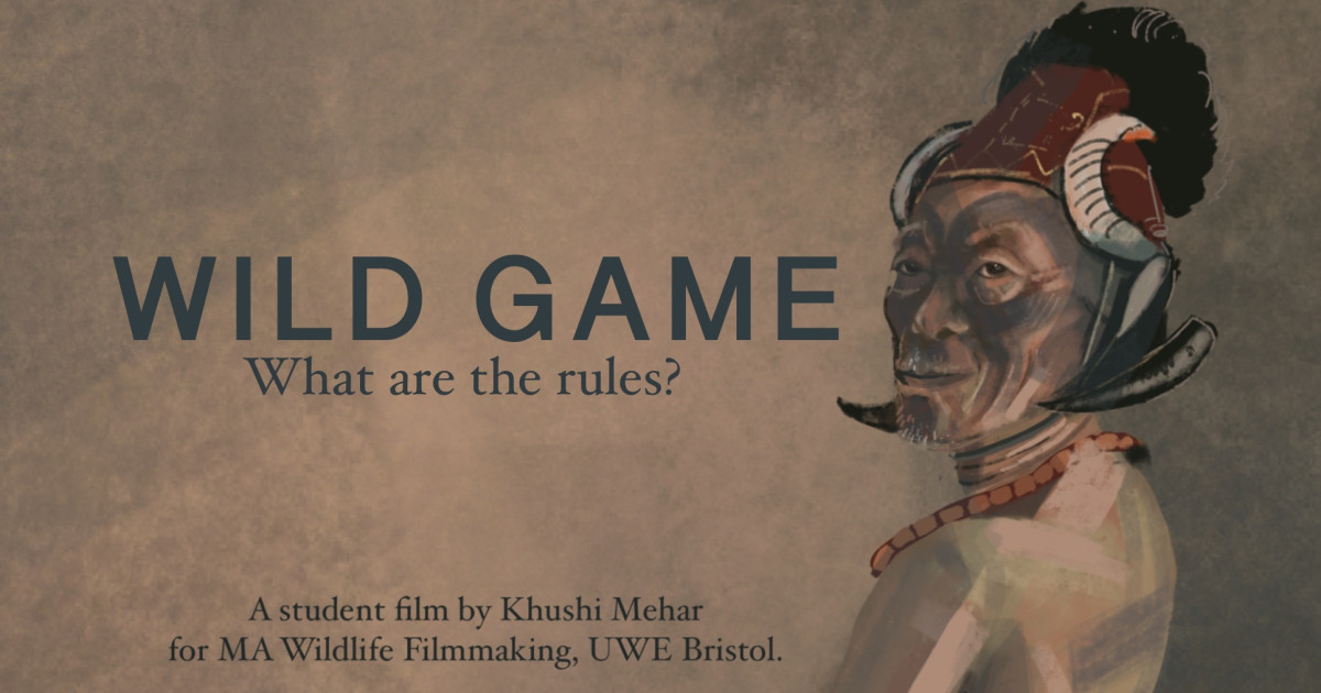 WILD GAME what are the rules? Indiegogo