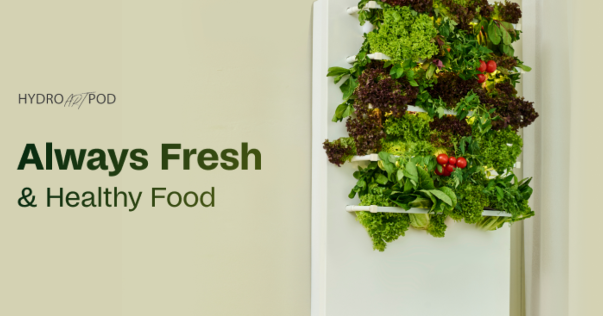 HydroArtPod: Grow & eat fresh every day - forever