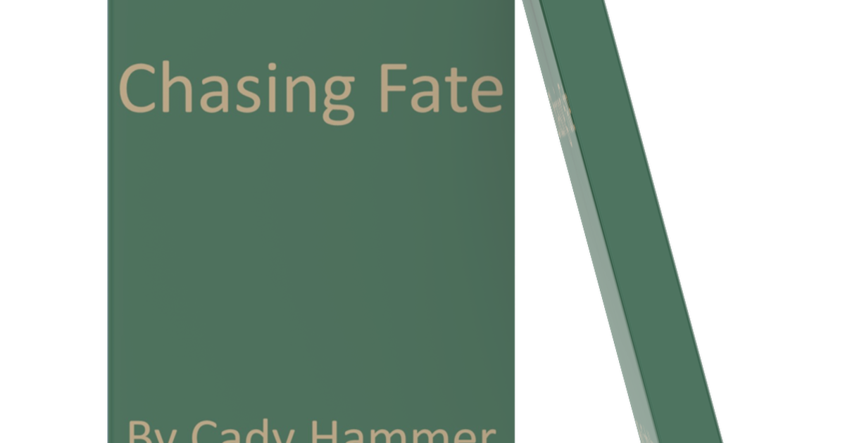 Chasing Fate Indiegogo
