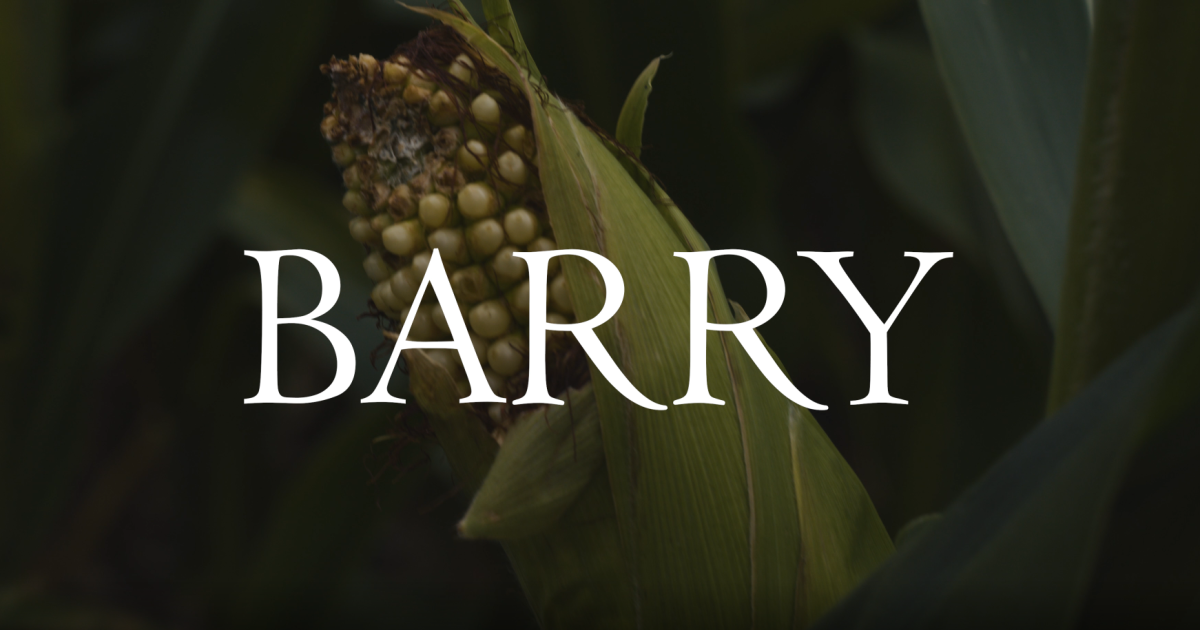 barry-short-film-indiegogo