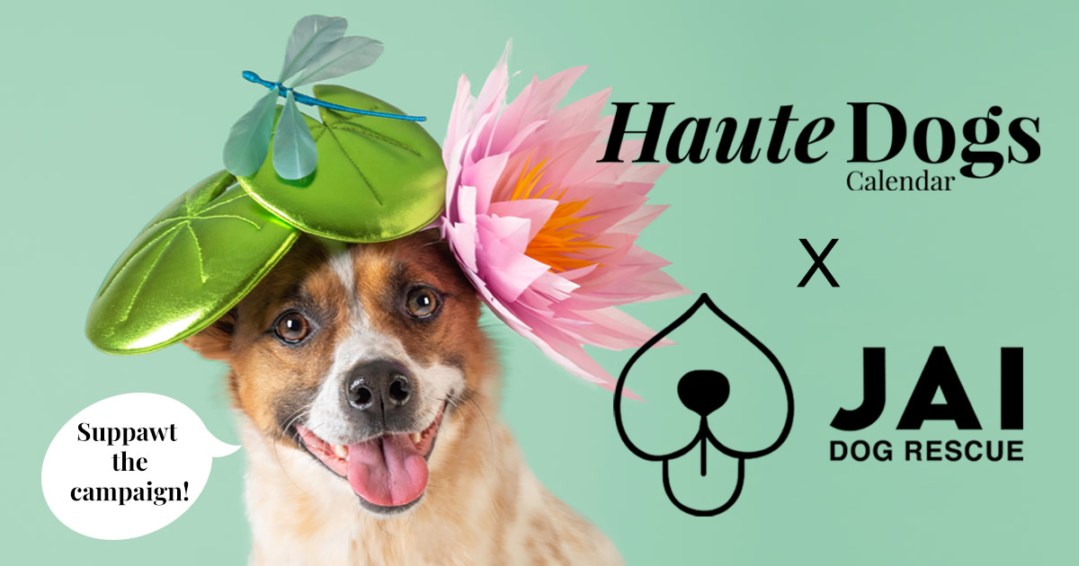 Haute Dogs x Jai Dog Rescue Calendar 2023 Indiegogo