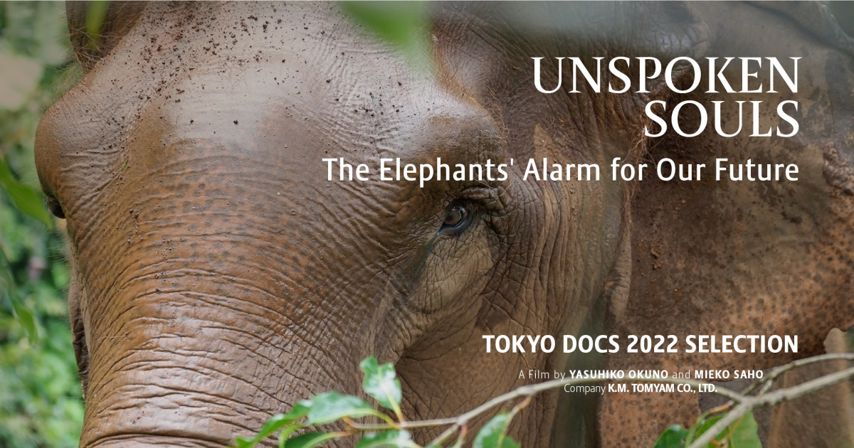 UNSPOKEN SOULS The Elephants Alarm for Our Future Indiegogo