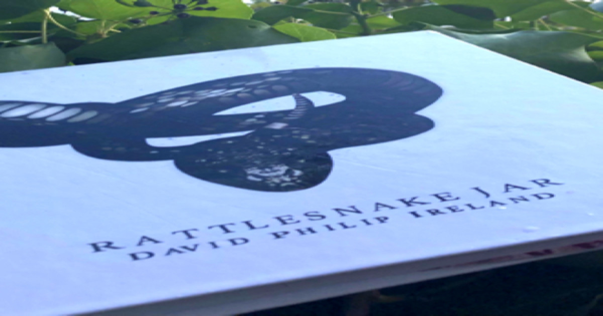 Rattlesnake Jar the Multimedia Poetry Project Indiegogo