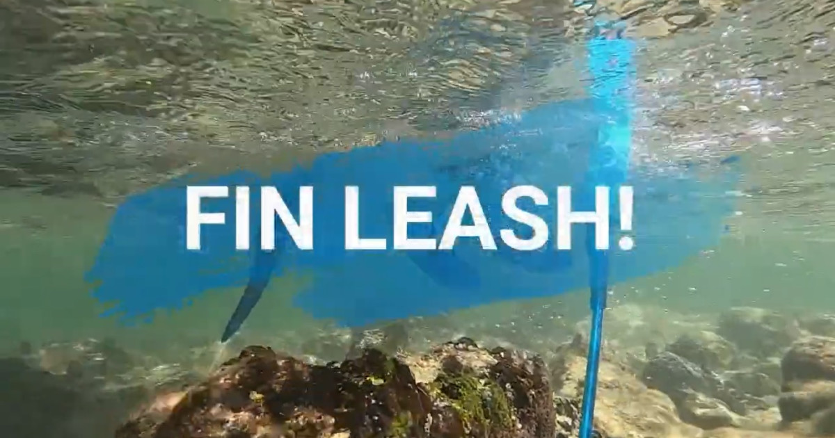 Correa para quillas de surf Fin Leash Indiegogo