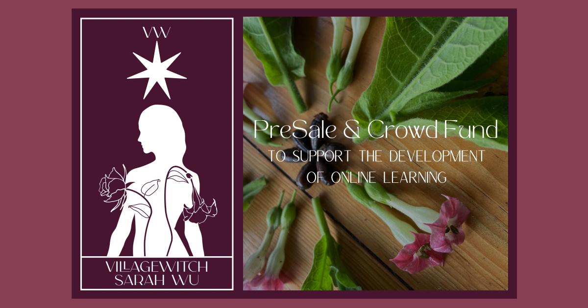 Courses with Sarah Wu, the Village Witch