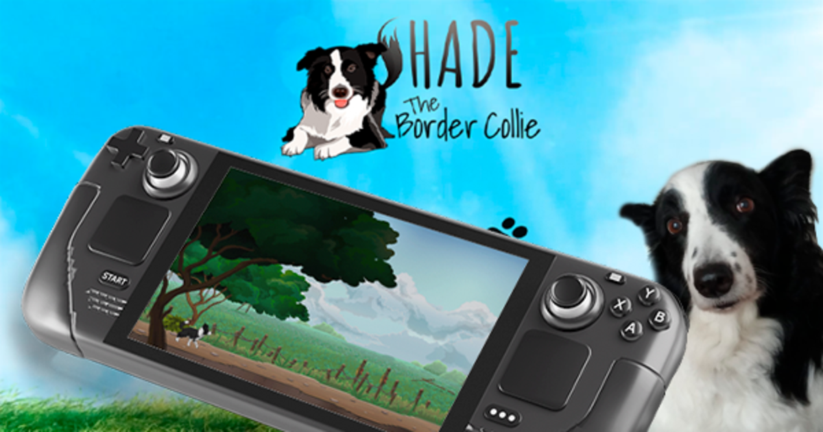 SHADE The Border Collie