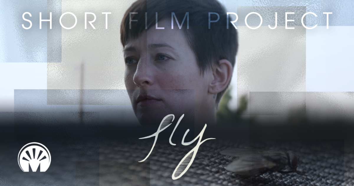 Fly - A Short Film About Depression