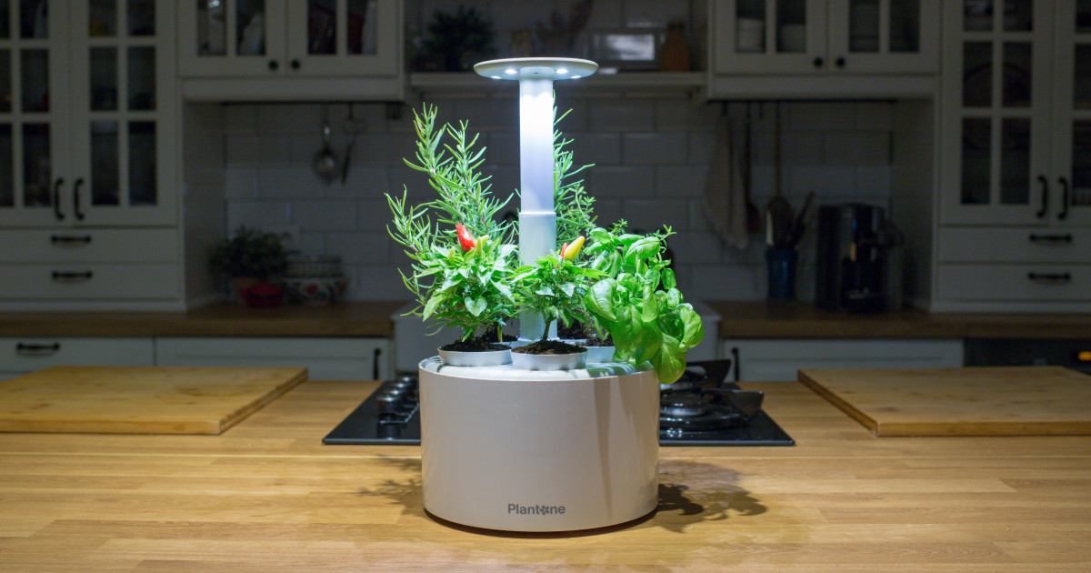 Plantone 2.0: Unleash Your Green Thumb