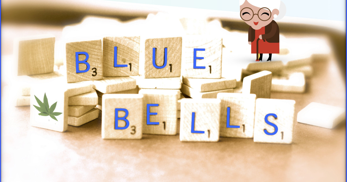 Bluebells | Indiegogo