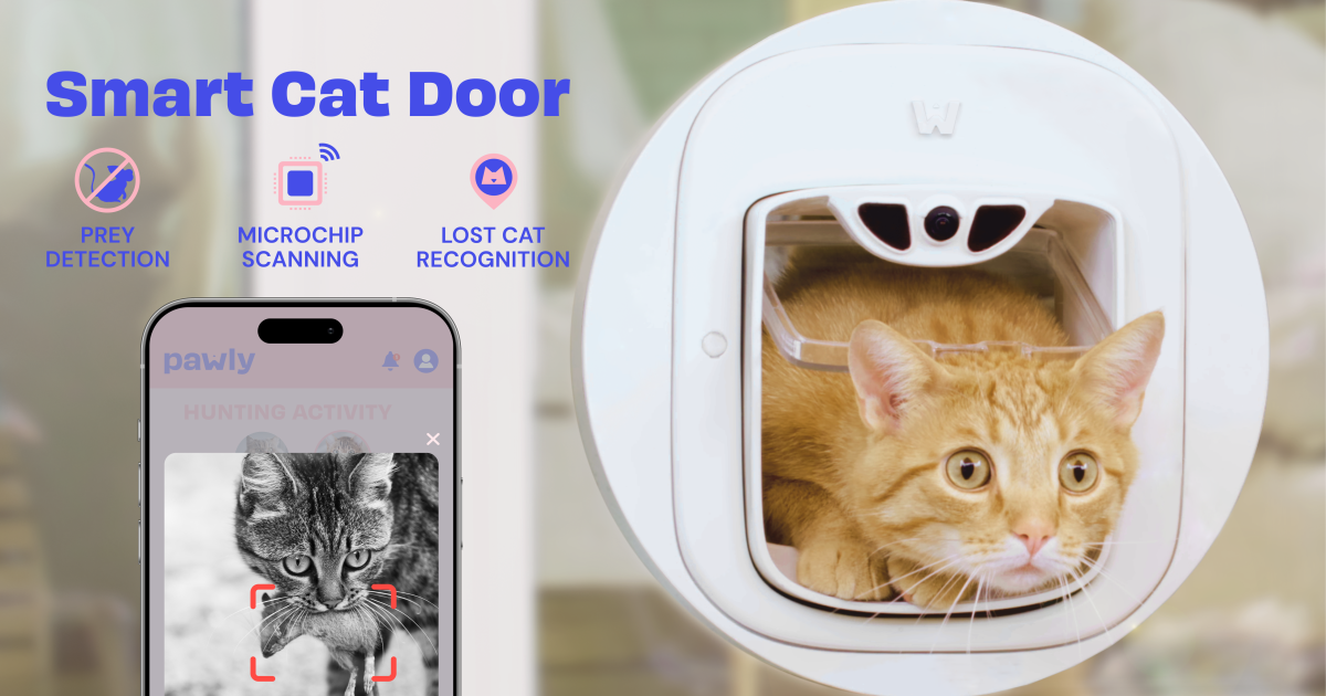 Pawly Door The Smart Cat Door With Prey Detection Indiegogo