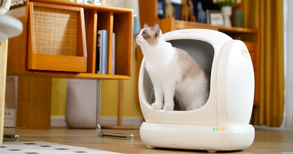 C20, Smart Cat Litter Box with Spacious Entrance Indiegogo