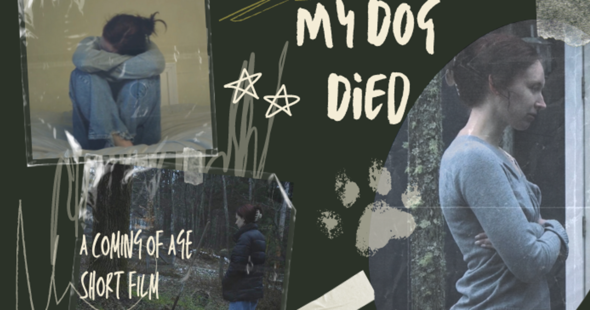 My Dog Died | Indiegogo