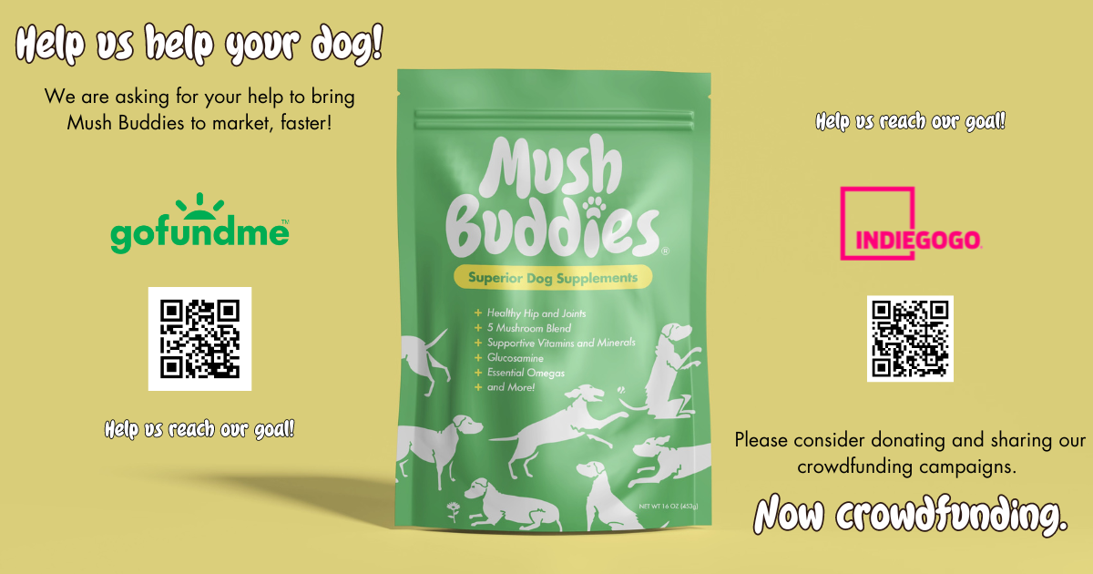 The Rise of Speeddogs: Revolutionizing the Dog Sports Industry