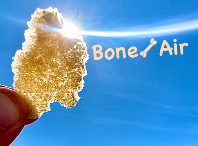 Bison Bone Broth Chips