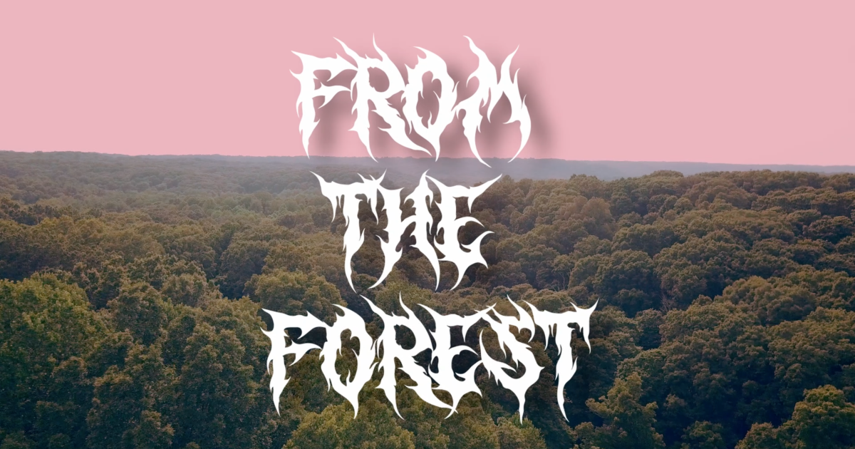 Help Bring FROM THE FOREST to Life!