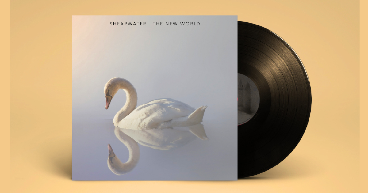 A New Shearwater Album