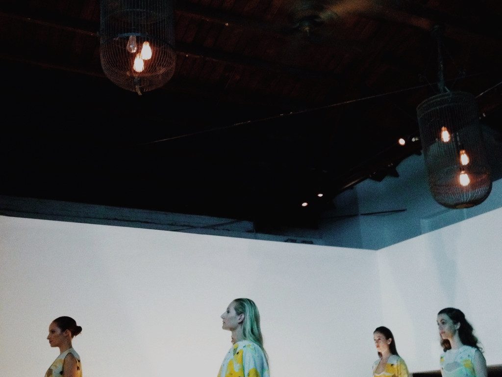 Ad Hoc Fashion Show Indiegogo
