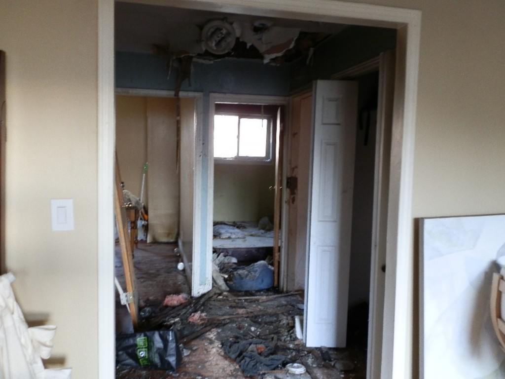 Alison's Apartment Burned Down Indiegogo