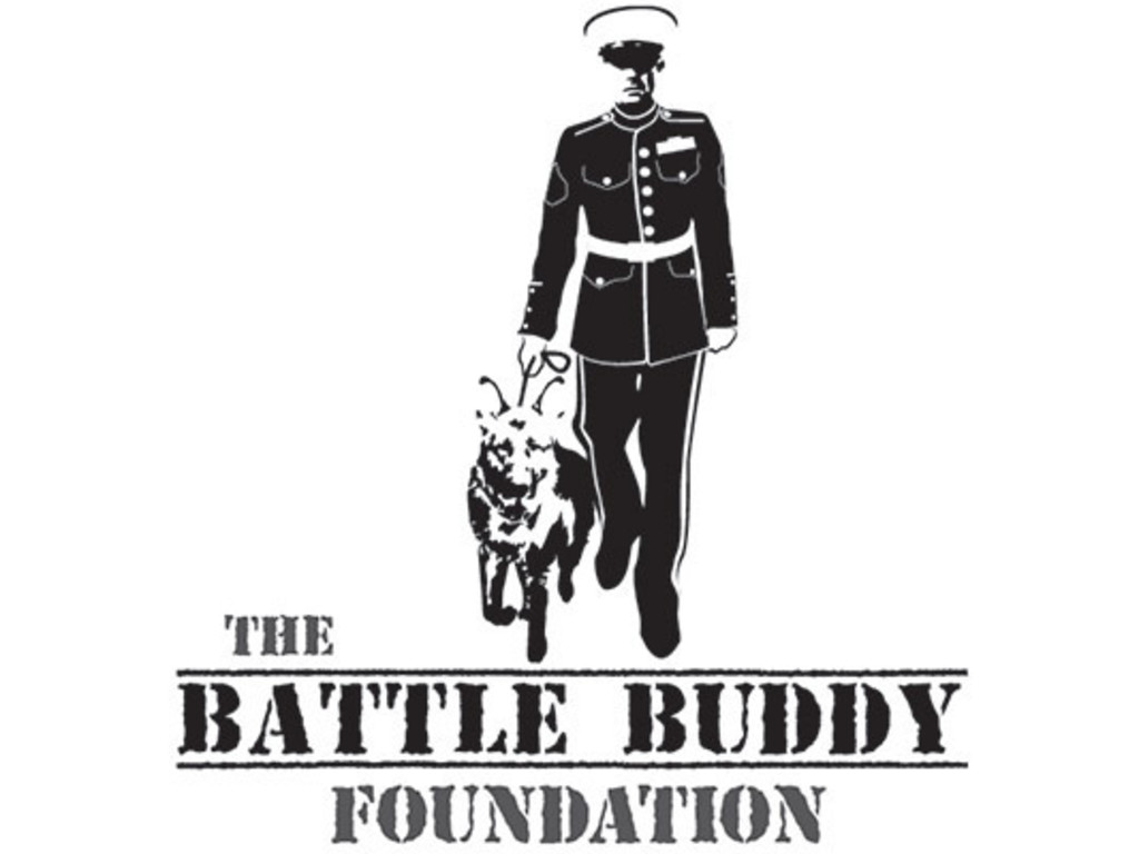 Operation Battle Buddy Indiegogo operation-battle-buddy-indiegogo