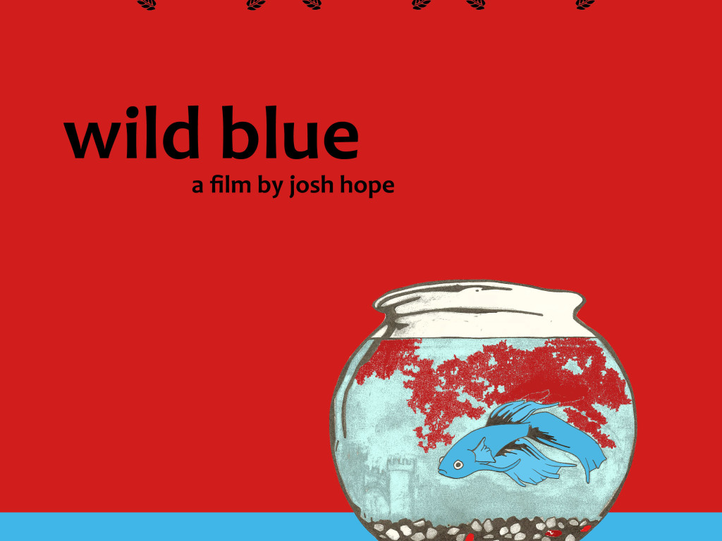 Wild Blue | Indiegogo