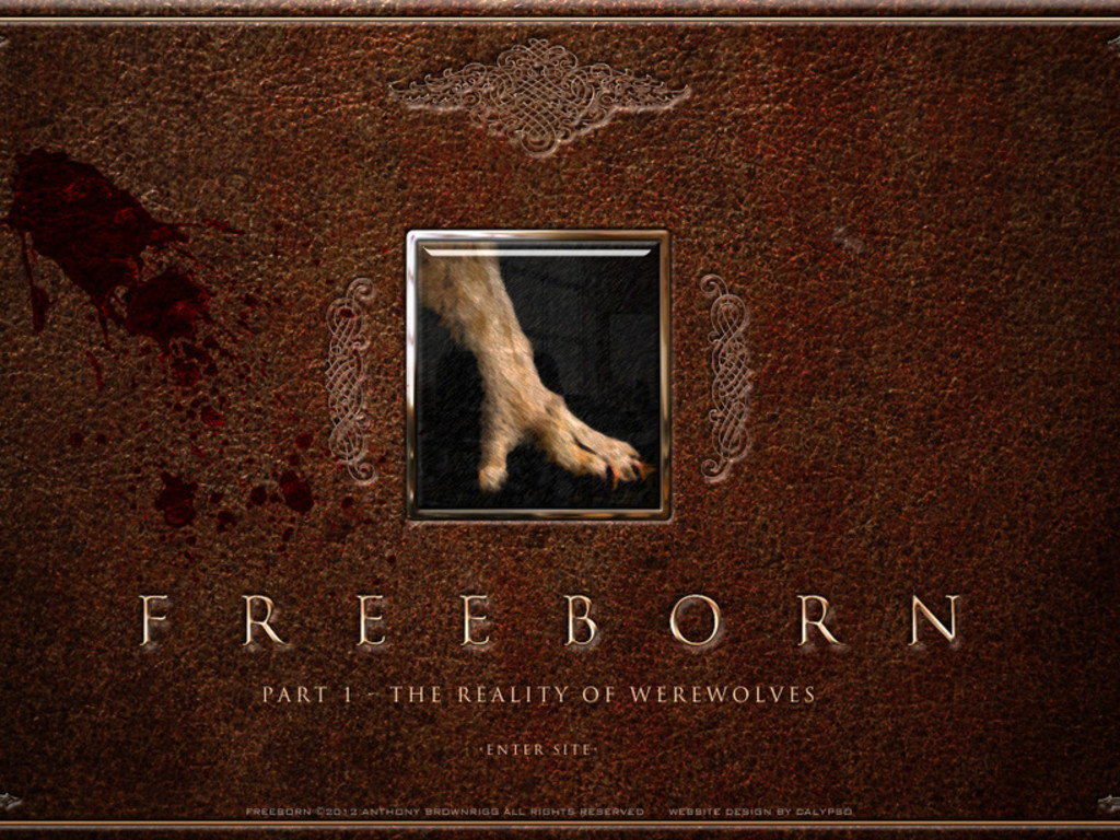 Freeborn The Movie Phase 2 Indiegogo