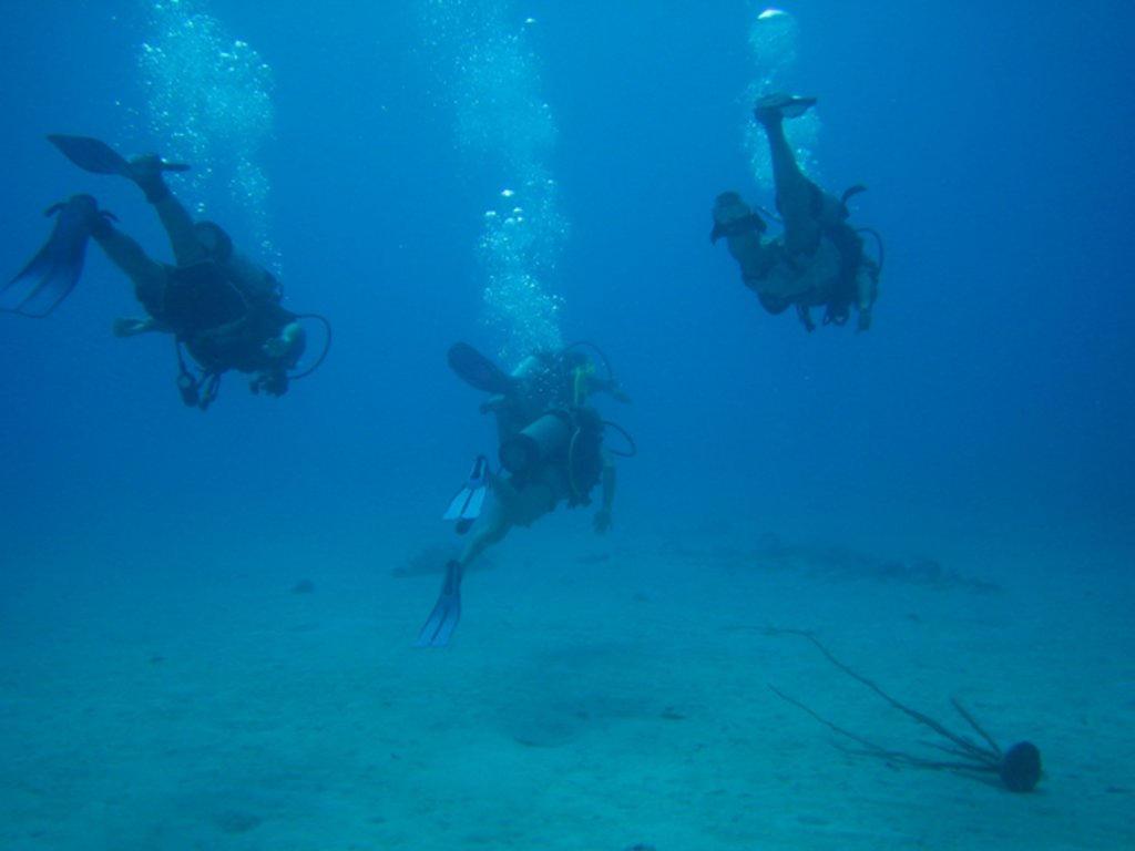 Bring Scuba Diving to Downtown Houston Indiegogo