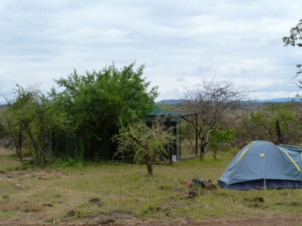 New Tent For Lion Researcher Indiegogo