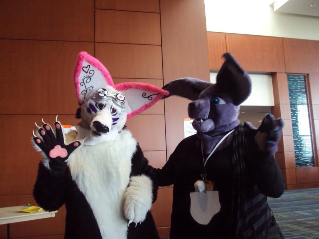 First Furry Convention Indiegogo