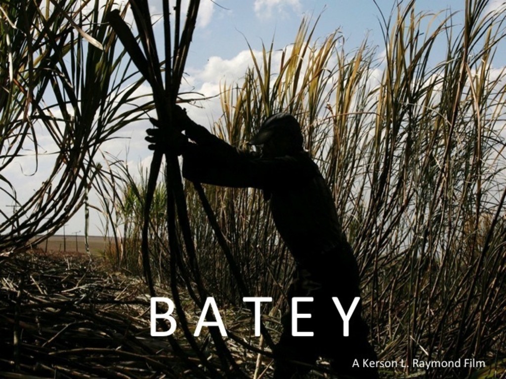 BATEY Indiegogo