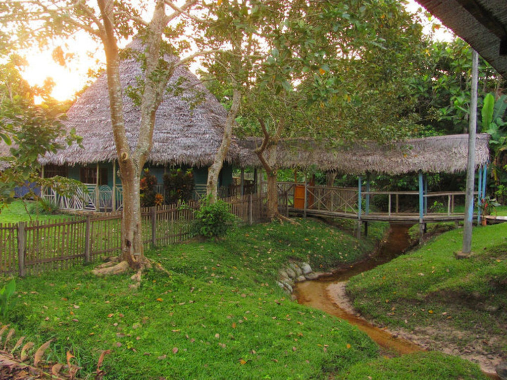 Amazon Plant Medicine Education Trip Indiegogo