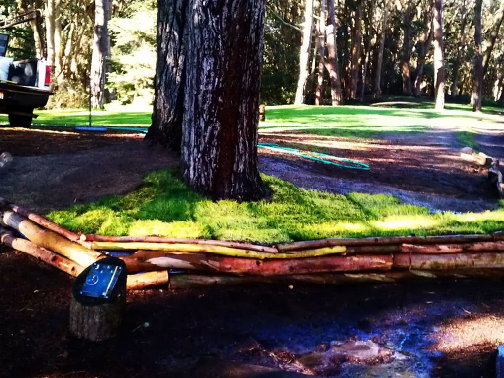 Golden Gate Park Disc Golf Course Beautifcation Phase 5 Indiegogo