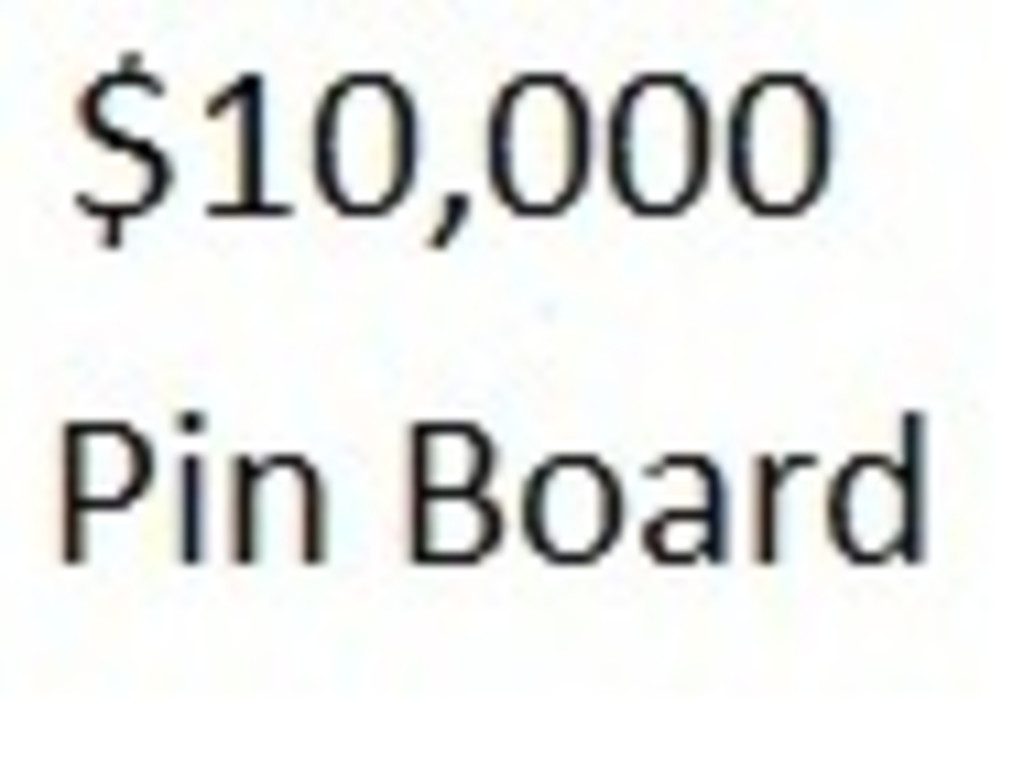 10-000-pin-board-indiegogo