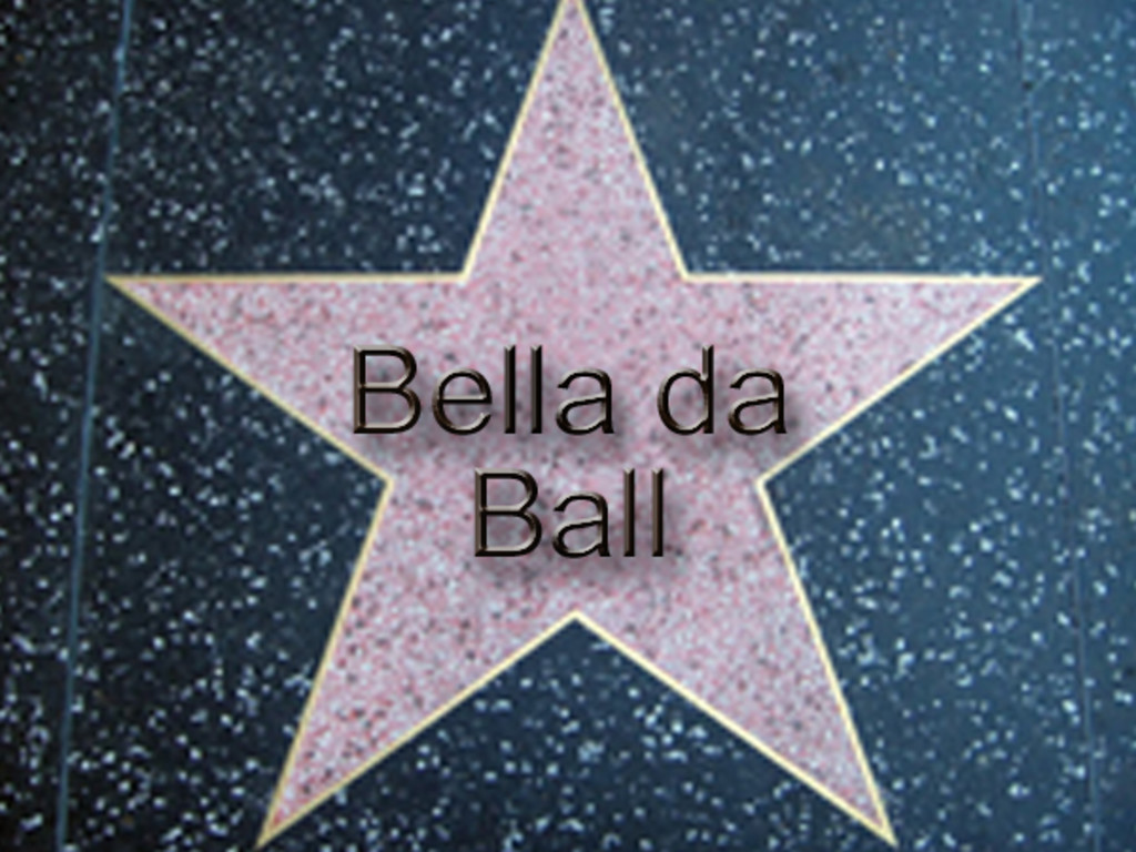 Help get Bella da Ball a star on the Palm Springs Walk of Stars Indiegogo