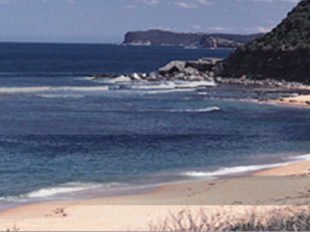 Winter Harbor Music Festival 5th Anniversary Fund Drive | Indiegogo