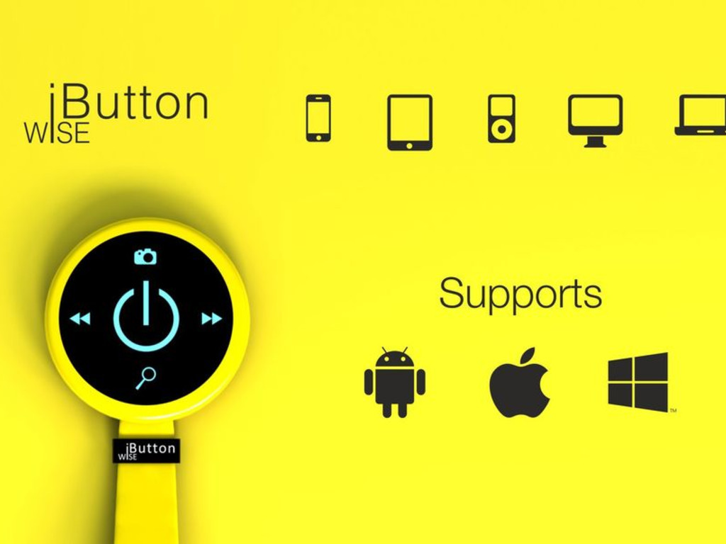 wise-button-indiegogo
