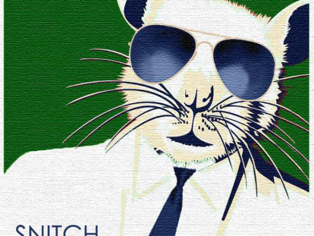 snitch software snitch software