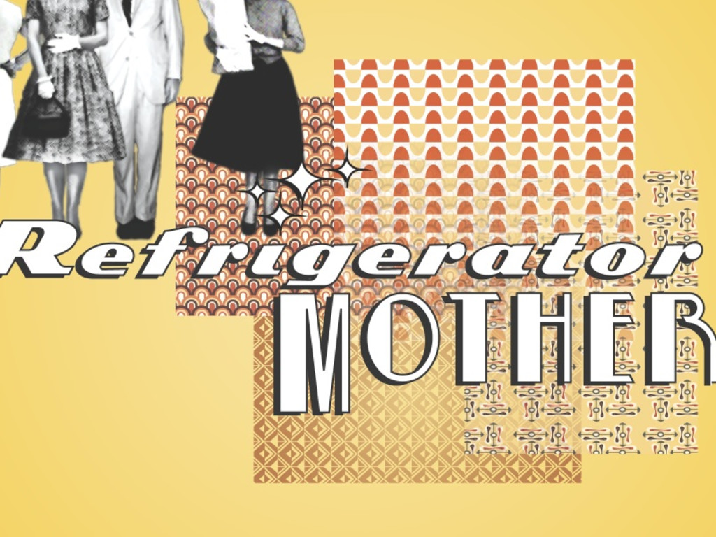 Refrigerator Mother Indiegogo