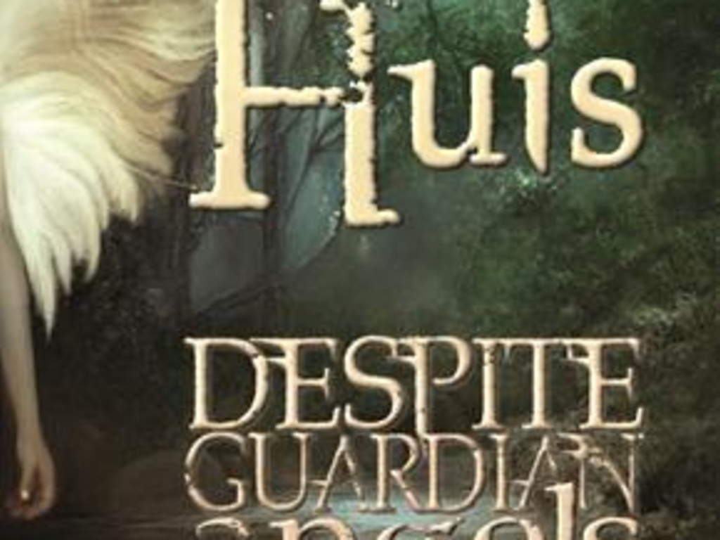 Huis Despite Guardian Angels Indiegogo