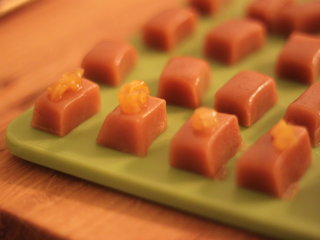 Bad Habit Caramels Indiegogo