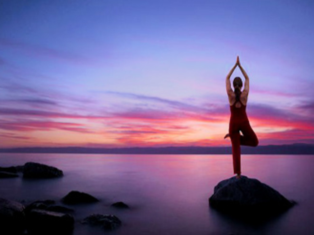 Help Andrea get her Zen On! | Indiegogo Help Andrea get her Zen On!