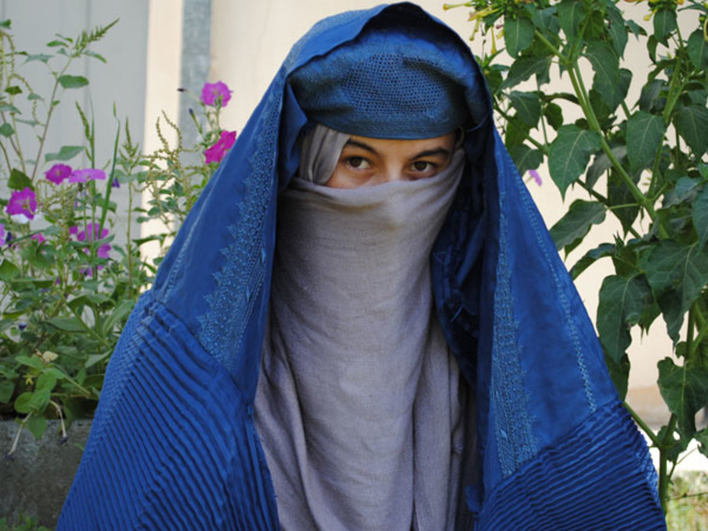 Help Sadia Indiegogo