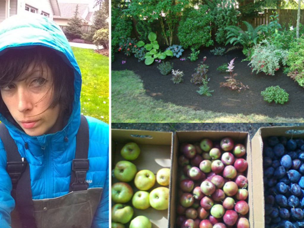 What Flowers Are Good For Eco-friendly Gardens