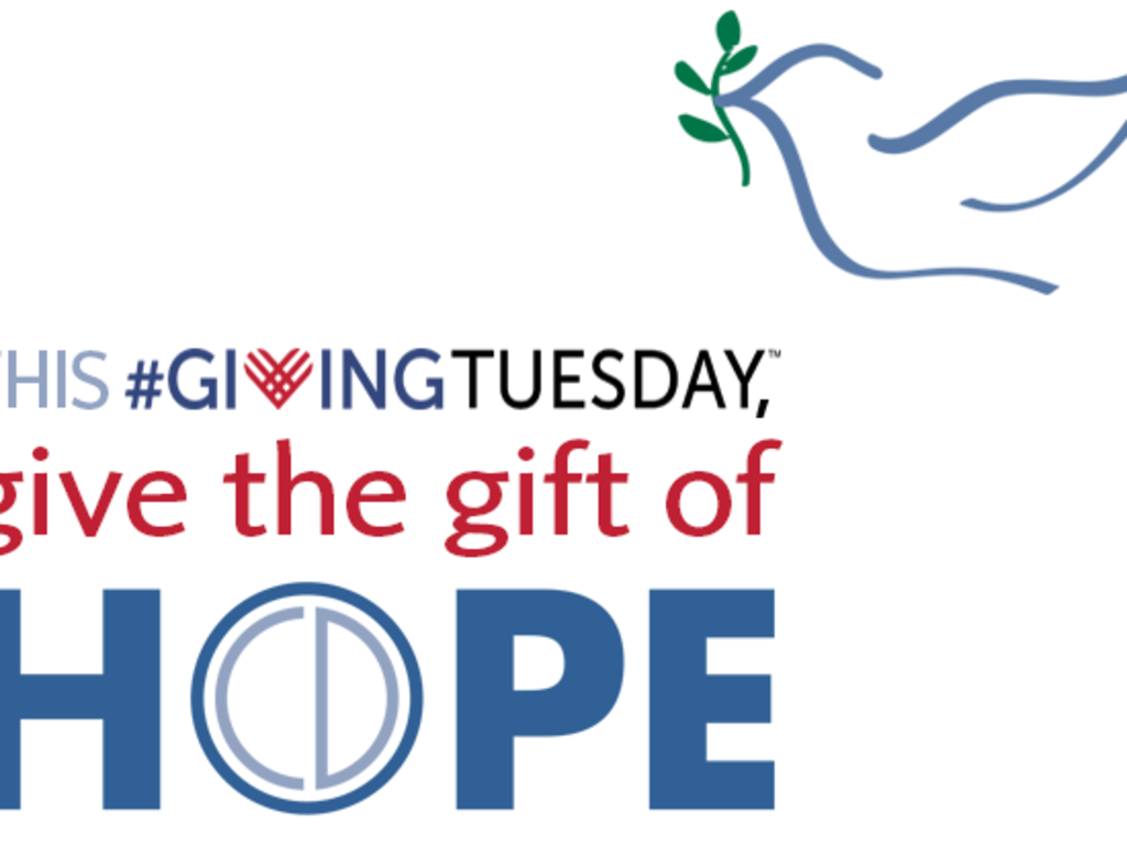 Help The International Ocd Foundation Indiegogo Help The International Ocd Foundation Indiegogo