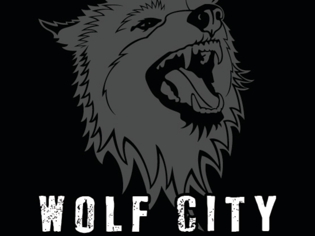 Wolf City A Series of Short Stories Indiegogo