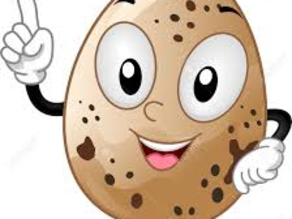 Help me start a Quail Farm, | Indiegogo