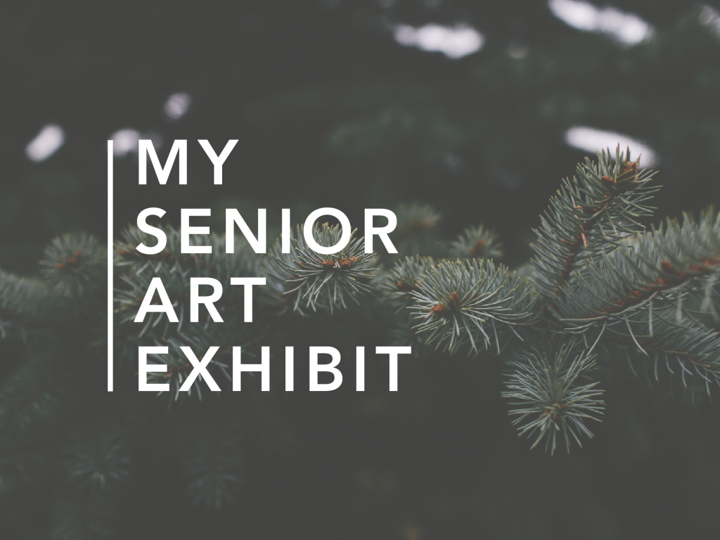 Senior Art Exhibit Indiegogo