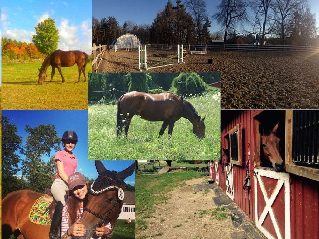 Clover Hill Equestrian Center Indiegogo