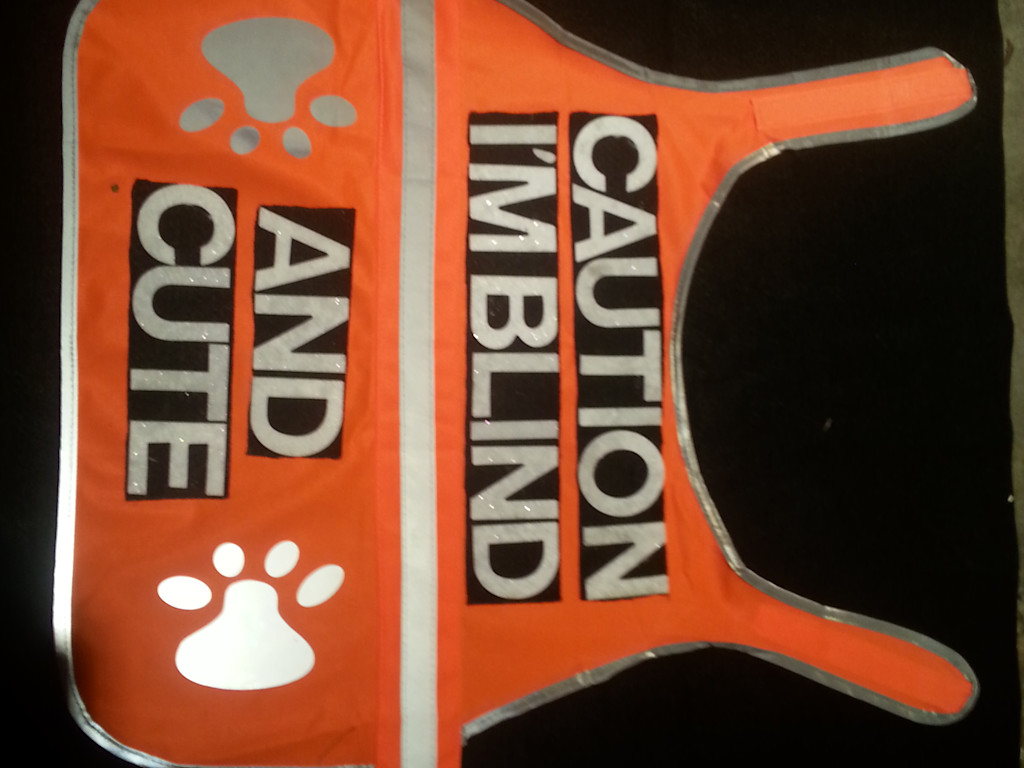 Vests for Disabled Dogs Indiegogo