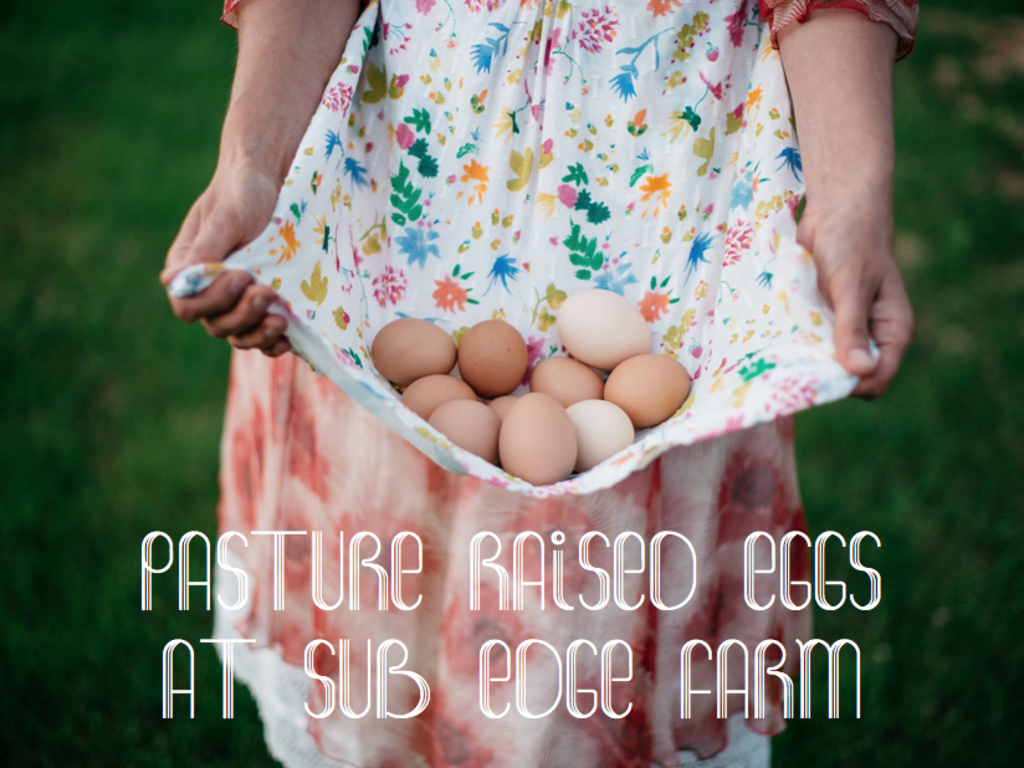 Pasture Raised Eggs at Sub Edge Farm Indiegogo