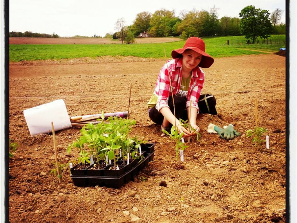 Help Weathervane Farms Grow! Indiegogo